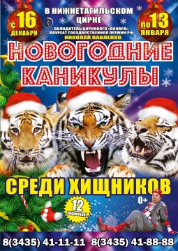 Тайна королевских тигров | Цирк