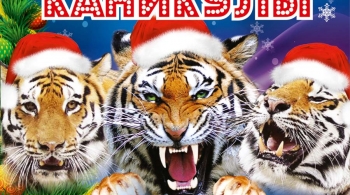 Тайна королевских тигров | Цирк