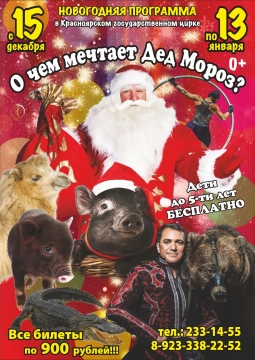 О чем мечтает Дед Мороз? | Цирк