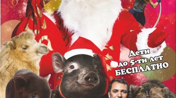 О чем мечтает Дед Мороз? | Цирк