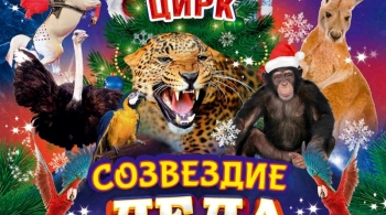 Созвездие Деда Мороза | Цирк