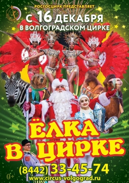 Ёлка в цирке 2