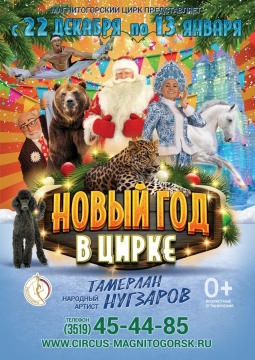 Новый год в цирке | Тайна Заколдованного замка