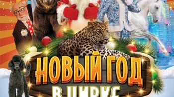Новый год в цирке | Тайна Заколдованного замка