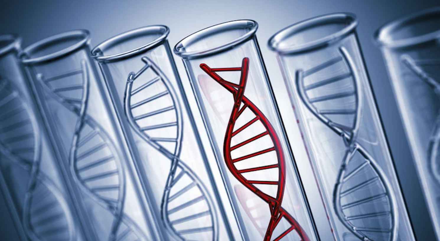 «Мусорная» ДНК оказалась эффективна в борьбе с раком