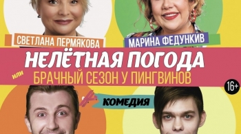 Нелетная погода, или Брачный сезон у пингвинов