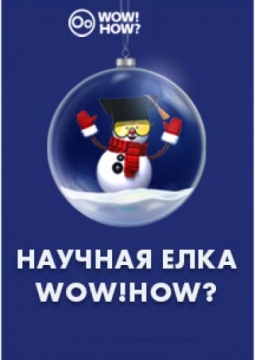 Академия новогодних чудес