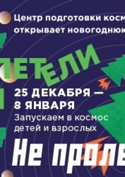 Полетели Ели | Новогодний квест