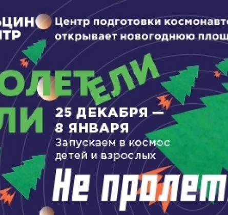 Полетели Ели | Новогодний квест