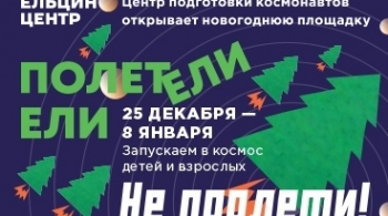 Полетели Ели | Новогодний квест