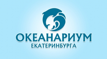 Подводный мир