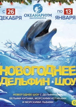 В Новый год по Млечному пути | Дельфинарий