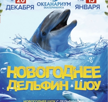 В Новый год по Млечному пути | Дельфинарий