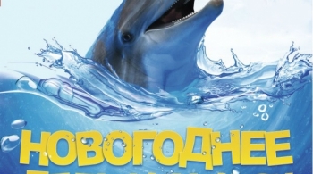 В Новый год по Млечному пути | Дельфинарий