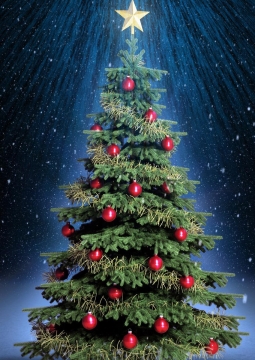 Дед мороз и волшебное зеркало