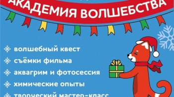 Академия Волшебников | Новогодняя Елка