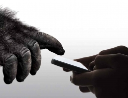 В чем секрет Gorilla Glass, и в каких смартфонах оно используется