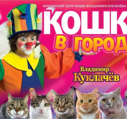 Кошки в городе | Владимир Куклачёв