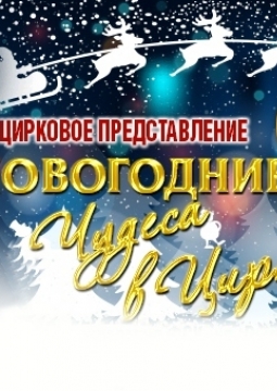 Новогодние чудеса в цирке