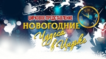 Новогодние чудеса в цирке
