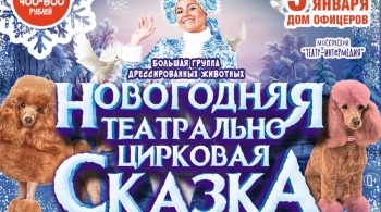 Новогодняя театрально-цирковая сказка