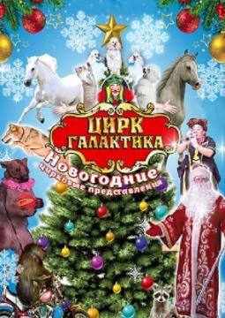 Цирк Галактика | Новогоднее представление
