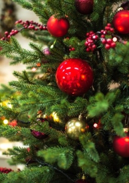 Приключения Деда Мороза