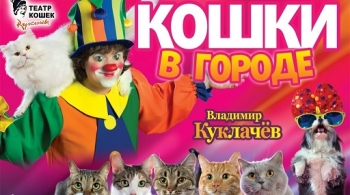 Кошки в городе | Владимир Куклачёв