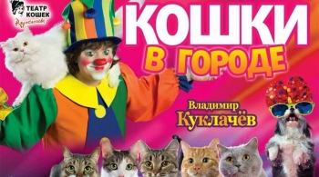 Кошки в городе | Владимир Куклачёв