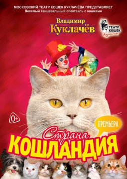 Страна кошландия | Московский театр кошек В.Куклачева