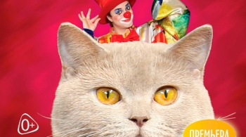 Страна кошландия | Московский театр кошек В.Куклачева