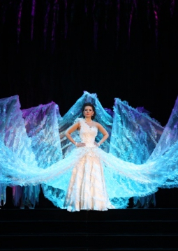 СИЛЬВА | Театр музыкальной комедии