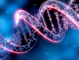 Редактор генома CRISPR: технология, которая изменит медицину