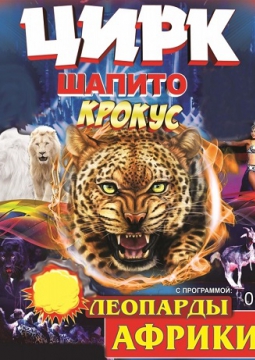 Леопарды Африки | Цирк шапито Крокус