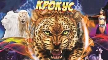 Леопарды Африки | Цирк шапито Крокус