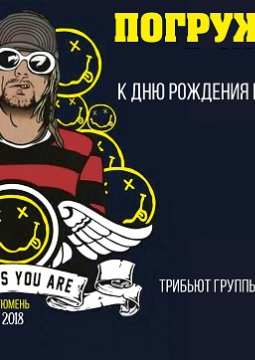 Погружение в NIRVANA