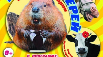 Цирк забавных зверей