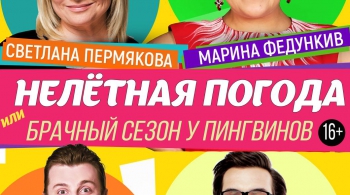 Нелетная погода, или Брачный сезон у пингвинов