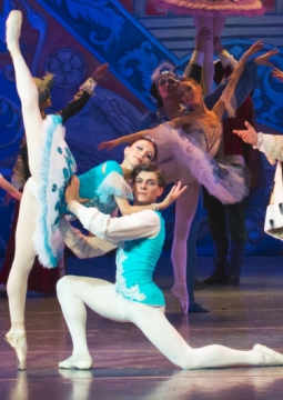 Спящая красавица