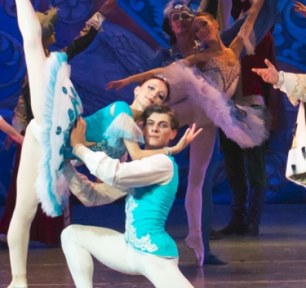 Спящая красавица