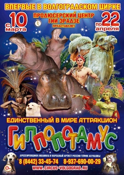 ЦИРК | Гиппопотамус