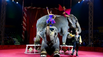 ЦИРК | Шоу cлонов