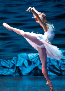 ЛЕБЕДИНОЕ ОЗЕРО