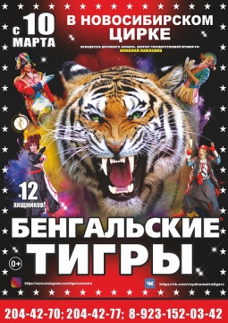 Тайна королевских тигров | Цирк