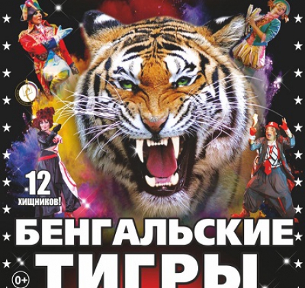 Тайна королевских тигров | Цирк