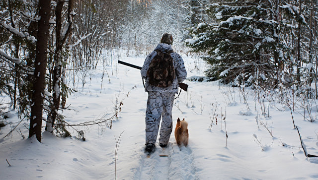 Ружье на гвоздь. Почему браконьерам стало невыгодно охотиться в России