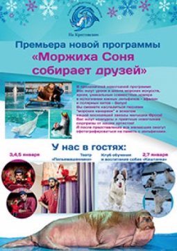 Моржиха Соня собирает друзей