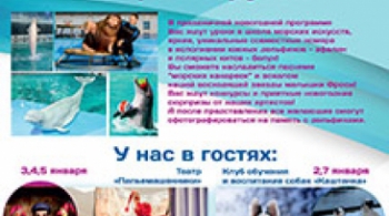 Моржиха Соня собирает друзей