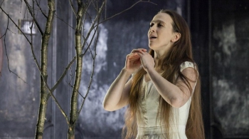 Мадам Бовари | Театр им. А. Миронова