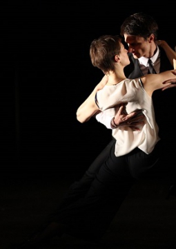 Летние осы кусают нас даже в ноябре | БДТ им. Г.А. Товстоногова